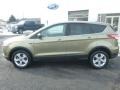 2013 Ginger Ale Metallic Ford Escape SE 1.6L EcoBoost 4WD  photo #2