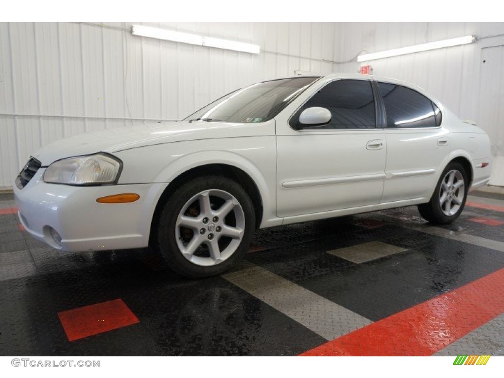 2000 Maxima SE - Icelandic Pearl / Frost photo #2