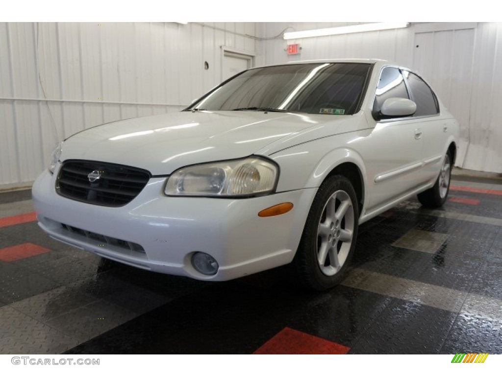 2000 Maxima SE - Icelandic Pearl / Frost photo #3