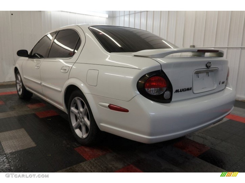 2000 Maxima SE - Icelandic Pearl / Frost photo #10