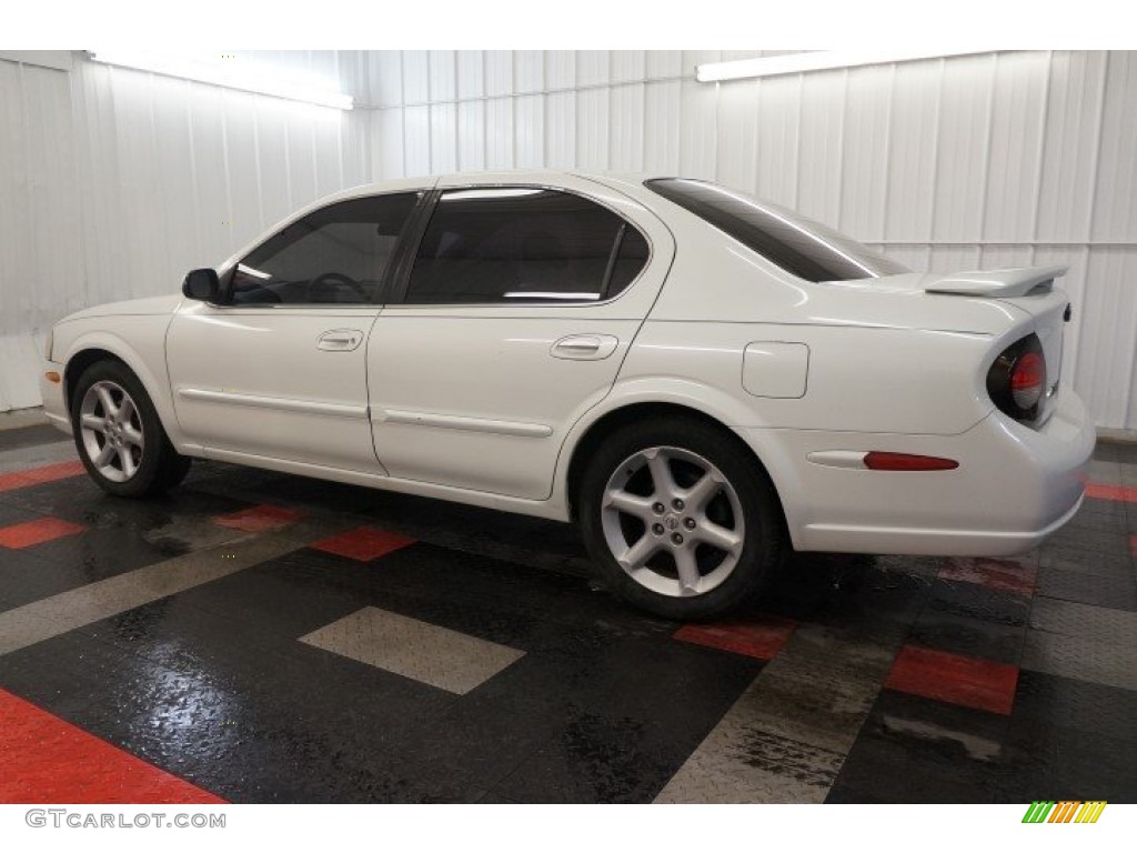 2000 Maxima SE - Icelandic Pearl / Frost photo #11