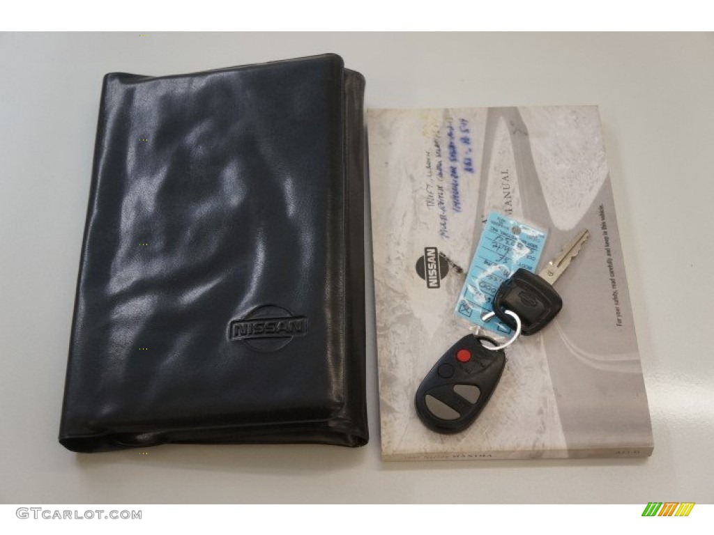 2000 Maxima SE - Icelandic Pearl / Frost photo #31