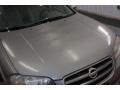 Sunlit Sand Metallic - Maxima SE Photo No. 36