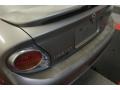 Sunlit Sand Metallic - Maxima SE Photo No. 53