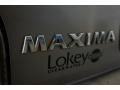 Sunlit Sand Metallic - Maxima SE Photo No. 61