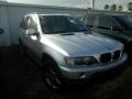 2002 Titanium Silver Metallic BMW X5 3.0i  photo #2