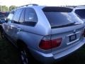 2002 Titanium Silver Metallic BMW X5 3.0i  photo #5