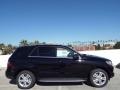 Black - ML 350 Photo No. 3