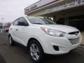 2010 Cotton White Hyundai Tucson GLS  photo #3