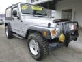 2004 Bright Silver Metallic Jeep Wrangler Sport 4x4  photo #2