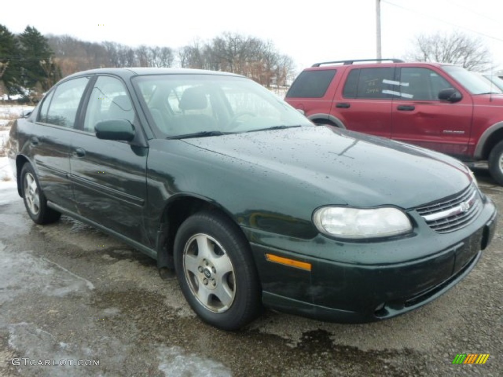 2002 Malibu LS Sedan - Forest Green Metallic / Gray photo #5