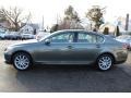 Cypress Green Pearl - GS 300 AWD Photo No. 5