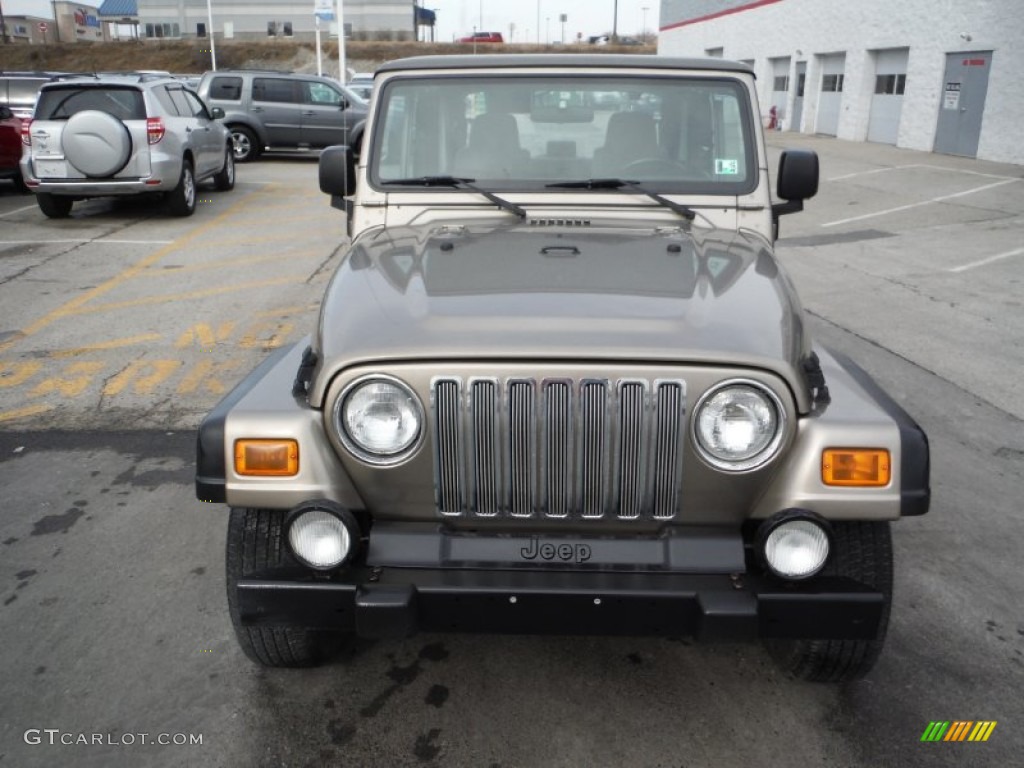 2004 Wrangler X 4x4 - Light Khaki Metallic / Khaki photo #4