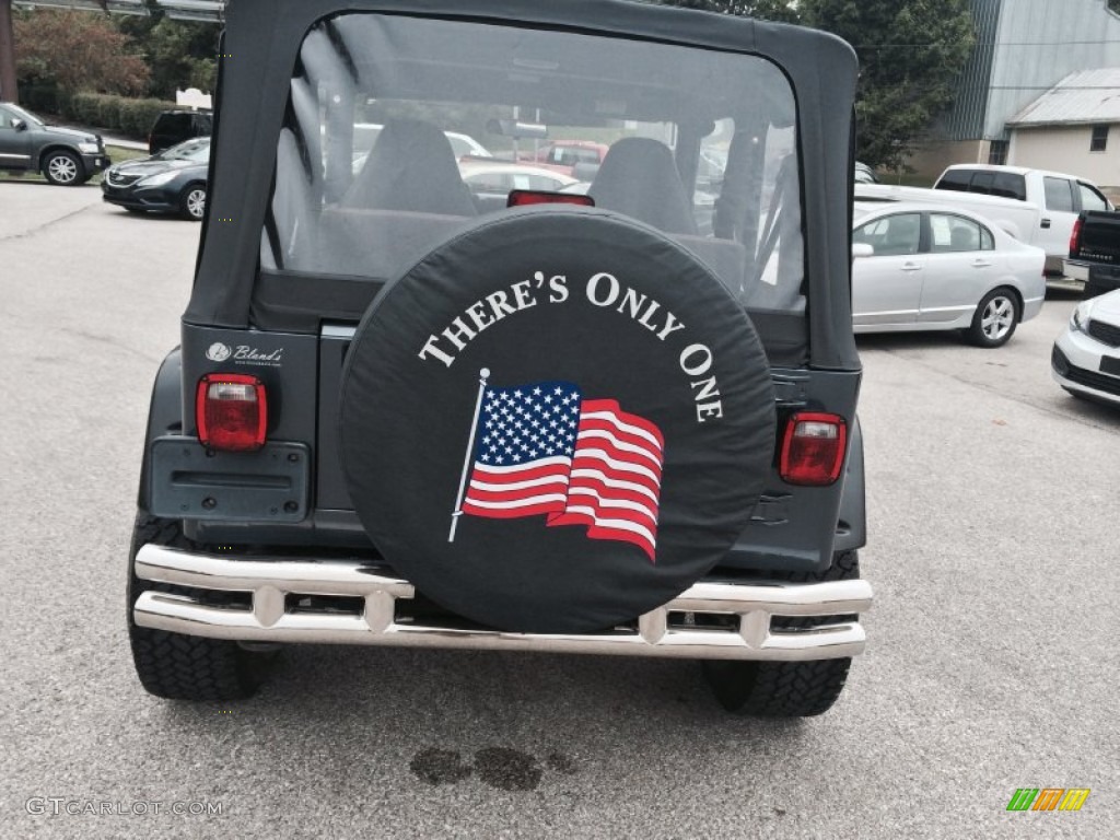 2002 Wrangler Sport 4x4 - Steel Blue Pearl / Agate Black photo #4