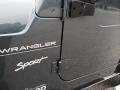 2002 Steel Blue Pearl Jeep Wrangler Sport 4x4  photo #25