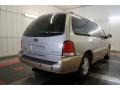 Arizona Beige Metallic - Freestar Limited Photo No. 8