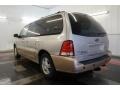 Arizona Beige Metallic - Freestar Limited Photo No. 10