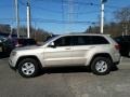 Cashmere Pearl 2015 Jeep Grand Cherokee Gallery
