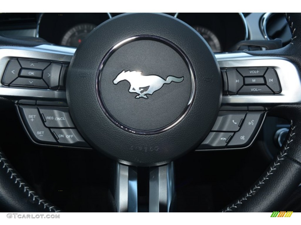 2015 Mustang GT Premium Coupe - Magnetic Metallic / 50 Years Raven Black photo #19