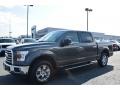 Magnetic Metallic - F150 XLT SuperCrew Photo No. 3