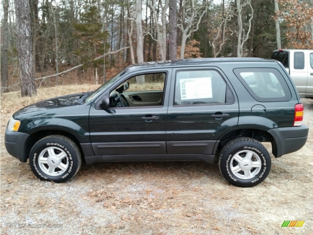 Aspen Green Metallic 2004 Ford Escape XLS V6 4WD Exterior Photo #101502419