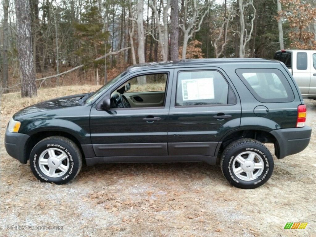 2004 Escape XLS V6 4WD - Aspen Green Metallic / Medium/Dark Flint photo #19