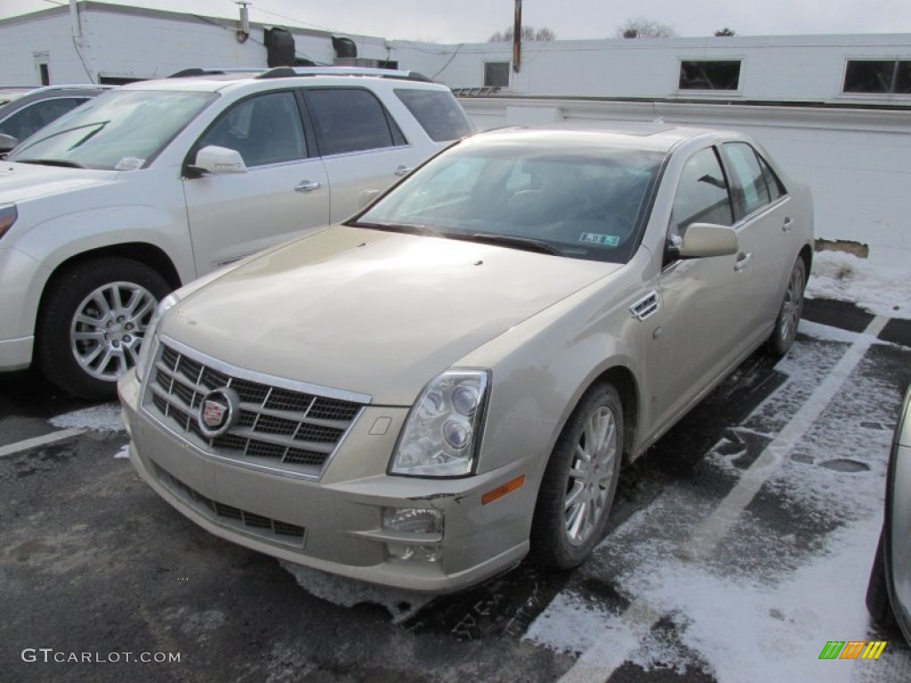 Gold Mist 2009 Cadillac STS 4 V6 AWD Exterior Photo #101506489