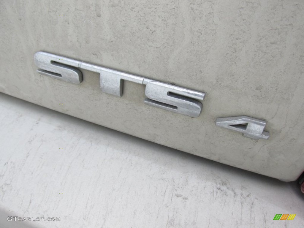 2009 STS 4 V6 AWD - Gold Mist / Ebony photo #5