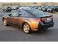 Graphite Luster Metallic - TSX Technology Photo No. 5