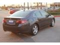 Graphite Luster Metallic - TSX Technology Photo No. 7