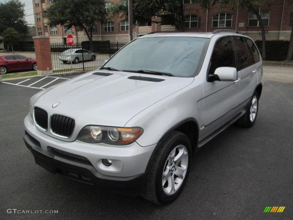 Titanium Silver Metallic 2005 BMW X5 3.0i Exterior Photo #101520422