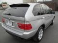 Titanium Silver Metallic - X5 3.0i Photo No. 14