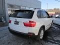 Alpine White - X5 xDrive30i Photo No. 6