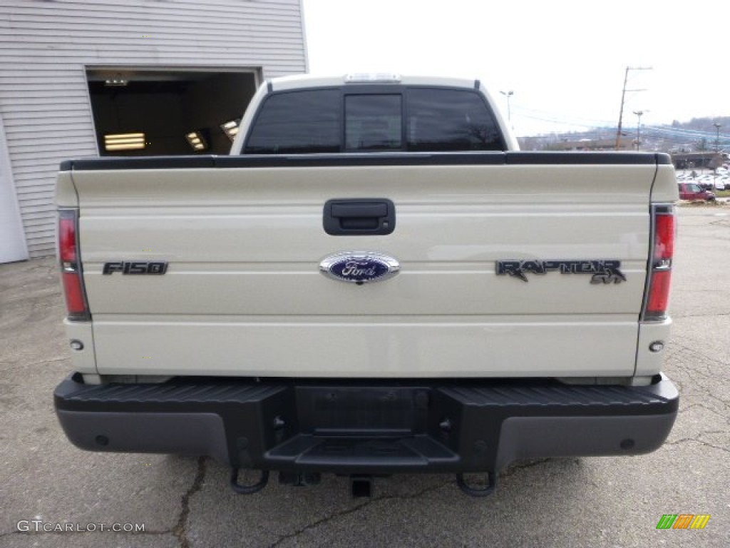 Terrain 2014 Ford F150 SVT Raptor SuperCab 4x4 Exterior Photo #101542241