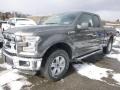Magnetic Metallic 2015 Ford F150 XLT SuperCab 4x4 Exterior