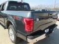 Guard Metallic - F150 Lariat SuperCrew 4x4 Photo No. 11