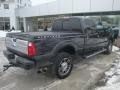 Tuxedo Black - F350 Super Duty Platinum Crew Cab 4x4 Photo No. 4