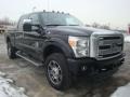Tuxedo Black - F350 Super Duty Platinum Crew Cab 4x4 Photo No. 5