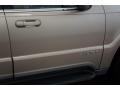 Light French Silk Metallic - Aviator Luxury AWD Photo No. 39