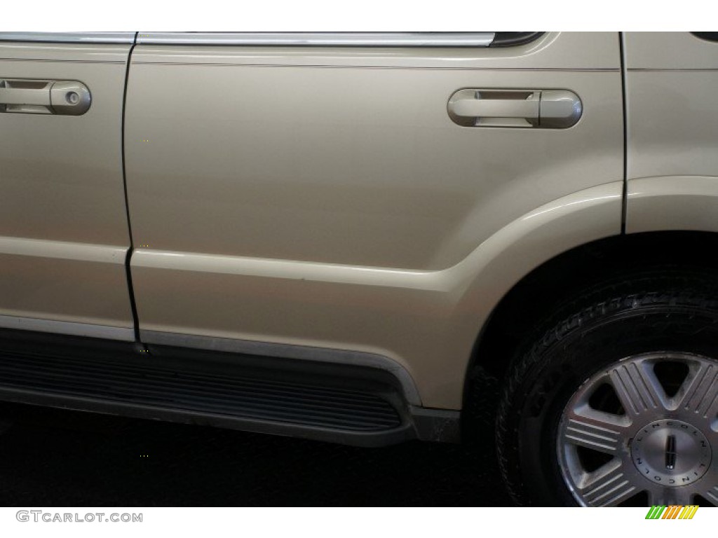 2005 Aviator Luxury AWD - Light French Silk Metallic / Camel photo #53
