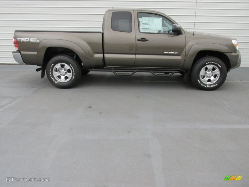 Pyrite Mica 2015 Toyota Tacoma V6 Access Cab 4x4 Exterior Photo #101577353