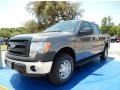 2014 Sterling Grey Ford F150 XL SuperCrew 4x4  photo #1