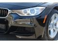 Black Sapphire Metallic - 3 Series 335i xDrive Sedan Photo No. 28