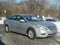 Radiant Silver - Sonata GLS Photo No. 3