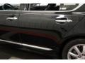 Obsidian Black - LS 460 AWD Photo No. 65