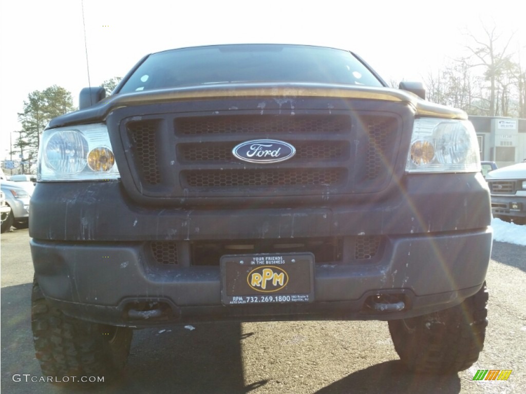 2005 F150 XL Regular Cab 4x4 - Silver Metallic / Medium Flint Grey photo #5