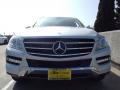 Iridium Silver Metallic - ML 350 Photo No. 2