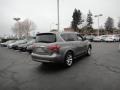 Platinum Graphite - QX 56 4WD Photo No. 5