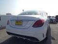 Polar White - C 300 Photo No. 4