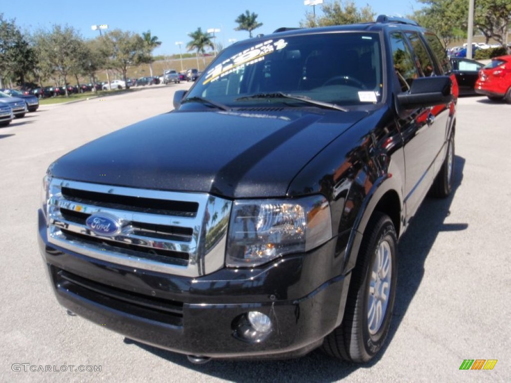 2014 Expedition Limited 4x4 - Tuxedo Black / Charcoal Black photo #15